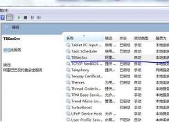 Win7系統(tǒng)中tbsecsvc是什么進程？tbsecsvc.exe占用CPU高的刪除方法