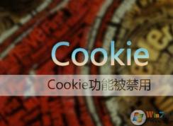 Win7 Cookie要怎么開啟？IE cookie啟用步驟