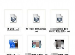 swf文件用什么打開？終于知道了！