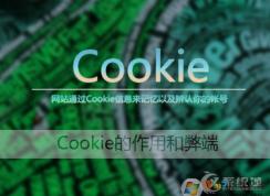 Cookies是什么意思？Win7 cookies怎么設(shè)置開啟和關(guān)閉？