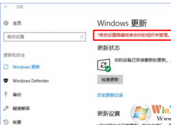 win10系統(tǒng)無法自動更新提示“某些設(shè)置隱藏或由你的組織來管理”怎么辦