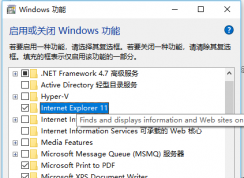 win10系統(tǒng)啟用和關閉windows功能中找不到ie11組件怎么辦？