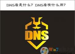 DNS盾是什么？DNS盾有什么作用？DNS盾怎么用？