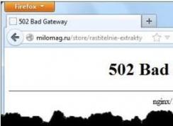502 bad gateway是什么意思？502 bad gateway怎么解決？