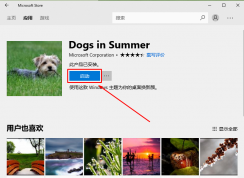 win10系統(tǒng)應(yīng)用商店下載的主題無法啟動的解決方法
