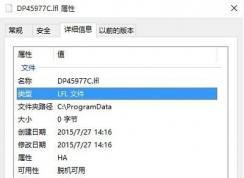 dp45977c是什么文件？dp45977c.lfl怎么刪除？