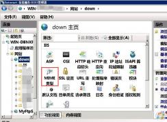 Server2008 IIS 7.5怎么設(shè)置MIME類型讓特殊擴展名文件可下載