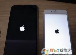 為什么有的iphone開(kāi)機(jī)是黑蘋(píng)果？白蘋(píng)果和黑蘋(píng)果有什么區(qū)別