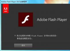 Adobe Flash Player PPAPI與NPAPI ActiveX都有什么區(qū)別？