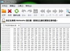 lic文件怎么打開？lic格式文件打開亂碼的解決方法