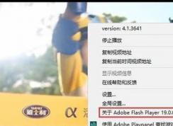 win10flash 版本在哪看？教你檢查flash版本號的查看方法