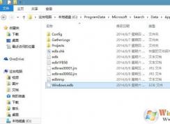 Windows.edb很大是什么？Windows.edb怎么刪除？