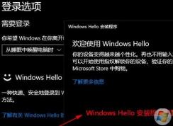 win10 Windows Hello安裝程序 點擊設(shè)置 閃退的有效解決方法