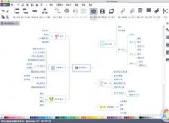 Win10系統(tǒng)MindMaster閃退解決方法