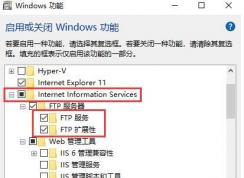 Win10 FTP創(chuàng)建,Win10設(shè)置FTP站點詳細(xì)教程