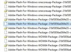 Win10如何徹底刪除Adobe Flash Player插件