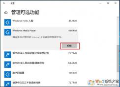 Win10怎么把Windows Media Player卸載掉？