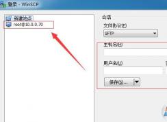 WinSCP怎么用？WinSCP使用教程（圖文操作）