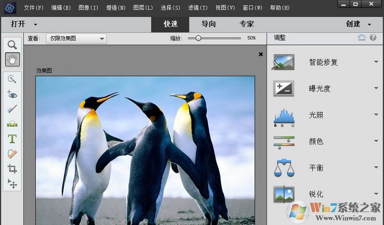 Adobe Photoshop Elements 2019綠色精簡(jiǎn)版（無(wú)需激活免費(fèi)用）