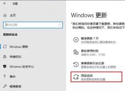 獲取不到Win10 1903推送怎么辦？檢測(cè)不到Win10 1903更新解決方法