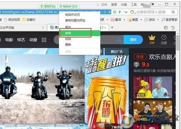 視頻下載王Apowersoft v6.4.6中文破解版(網(wǎng)頁(yè)視頻下載工具)