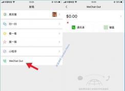 微信里的Wechat Out是什么？為什么打開會閃退？