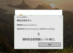 win10 1903使用Edge訪問微軟網(wǎng)站提示：請(qǐng)將安全密鑰插入U(xiǎn)SB端口 的解決方法