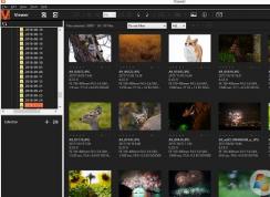 win10系統(tǒng)arw格式怎么打開？win10打開ARW文件教程