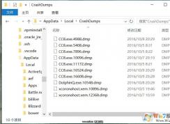 crashdumps文件夾是什么,里面的DMP文件可以刪除嗎