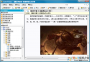 cyberarticle下載_cyberarticle網(wǎng)頁文檔管理軟件V5.5 綠色破解版