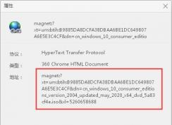 magnet開頭的下載鏈接用什么軟件下載？magnet協(xié)議下載地址知識(shí)分享