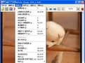 irfanview破解版_irfanview(圖像查看工具)綠色漢化版