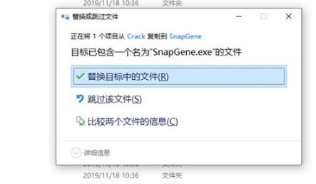 SnapGene下載_snapgene設(shè)計(jì)引物漢化破解版