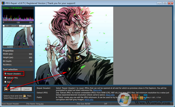 照片修復(fù)工具JPEG-Repair v2.8.7.5綠色版