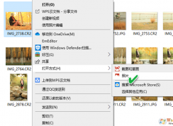 Win10系統(tǒng)支持RAW圖片查看的方法
