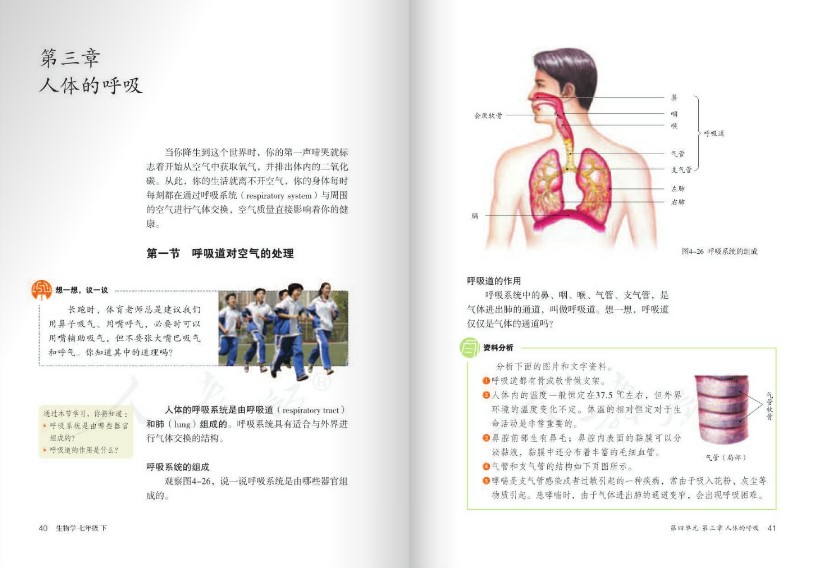 人教版七年級生物下冊電子書