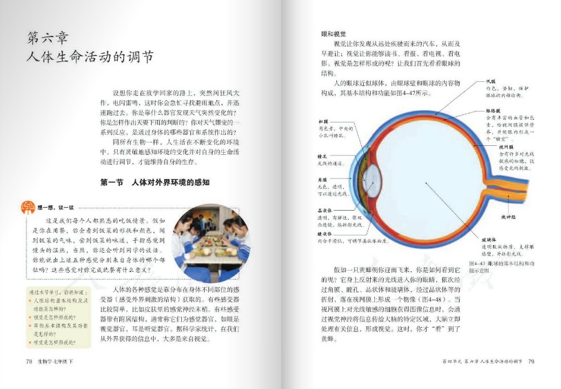 人教版七年級生物下冊電子書