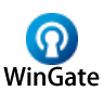 WinGate下載_WinGate中文破解版