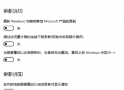 Win10強(qiáng)制更新20h2怎么關(guān)閉?Windows10強(qiáng)制更新20H2的解決方法