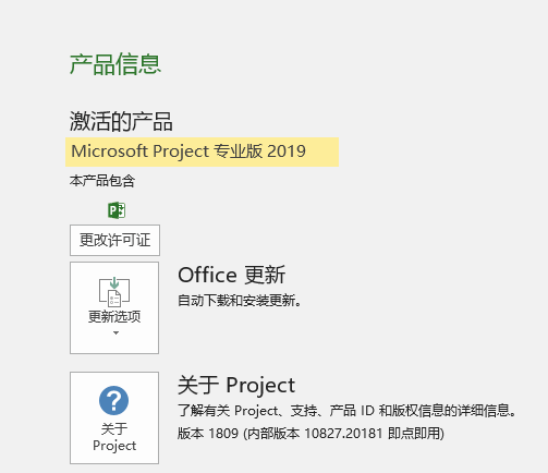 project2019軟件