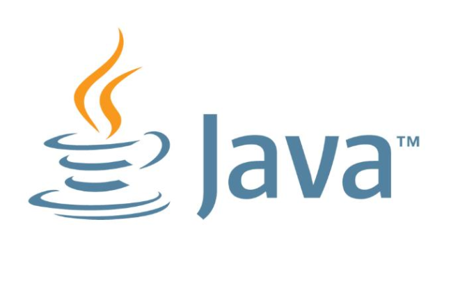 Java SE Runtime Environment(Java運(yùn)行環(huán)境) V8.0.202多語言正式版