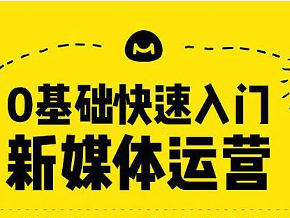 0基礎(chǔ)快速入門(mén)新媒體運(yùn)營(yíng)培訓(xùn)教程完整版百度網(wǎng)盤(pán)資源