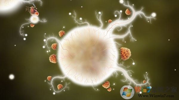 植物精靈(Botanicula)冒險(xiǎn)游戲 電腦中文版