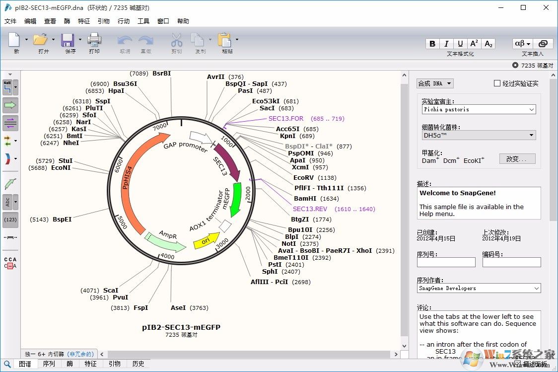 SnapGene