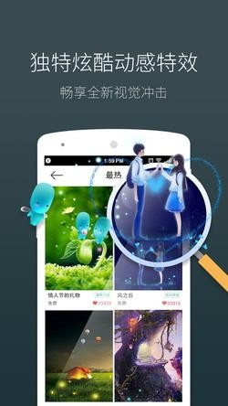 海豚動態(tài)壁紙