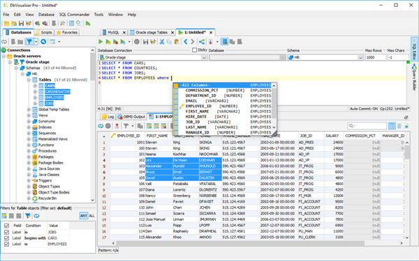 DbVisualizer Pro