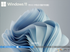 W11專業(yè)版下載|W11系統(tǒng)專業(yè)版[永久激活] V2023