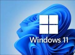 Win11家庭版和專業(yè)版有什么區(qū)別？Win11家庭版和專業(yè)版哪個(gè)好用？