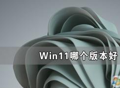 Win11系統(tǒng)哪個(gè)版本好用,Win11最好用的版本介紹