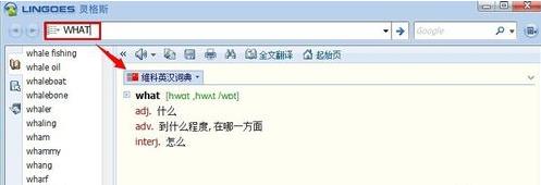 靈格斯詞霸(Lingoes)截圖